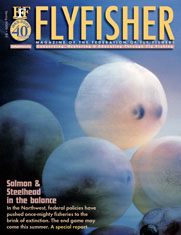 Flyfisher Part III Spring 2004