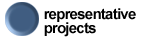 Representative Projects